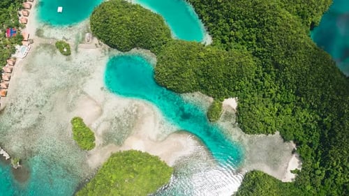 Aerial View of Beach in Tropical Island
