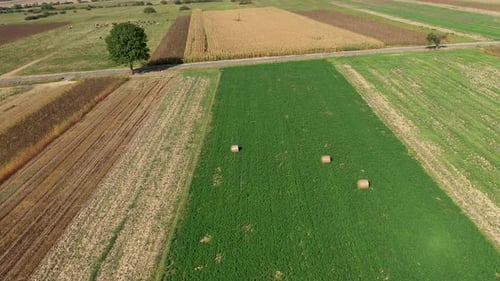 Drone flying above agriculture field. Aerial view