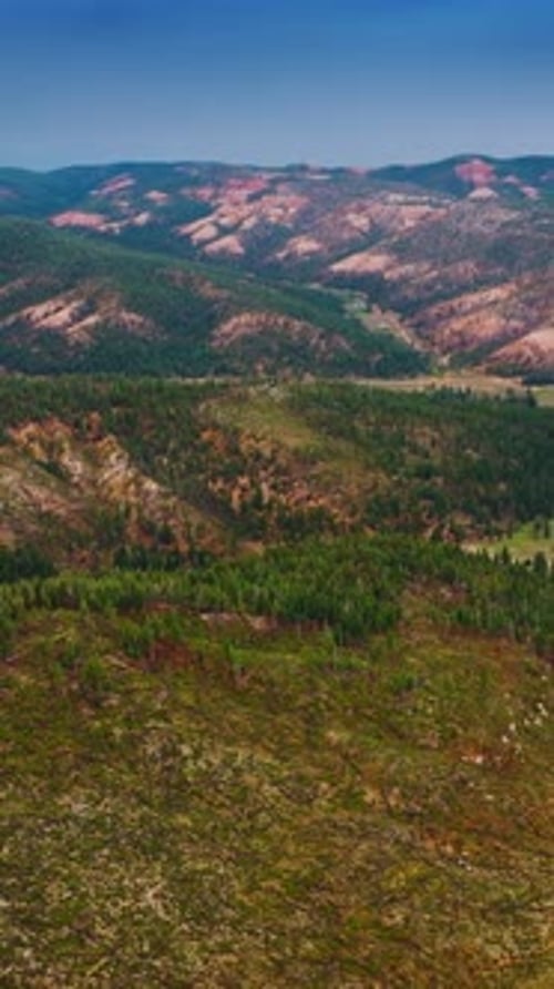 Flying above the amazing mountainous landscape covered with pine tree forests.
