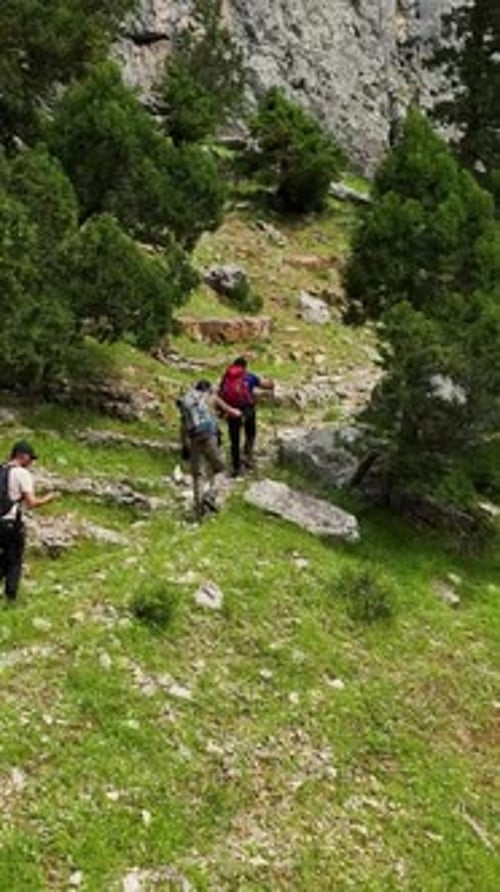Vertical Video Trekking in the Green Wilderness Travelers on a Mountain Expedition