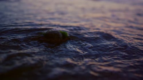Ocean Water Waves Splashing on Beach During Sunset