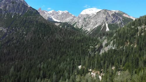 Majestic Mountain Range Forest Landscape on Sunny Day
