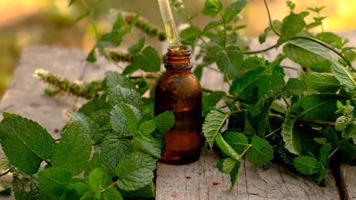 Mint Essential Oil Extracted with Glass Dropper