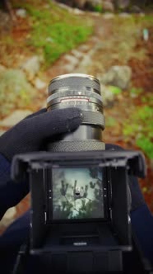 Capturing Tranquil Outdoor Scenes With A Classic Film Camera