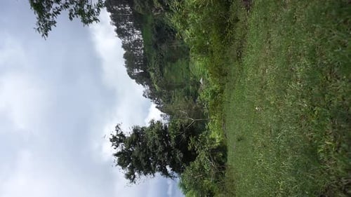 beautiful vertical video portrait natural scenery mountains natural panorama hills, and forest