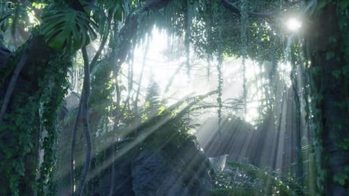 Sunlight Rays Piercing Through a Lush Green Jungle Canopy