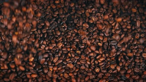 Coffee Beans 4k