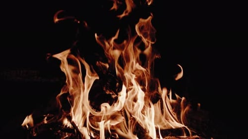 Blazing Wood Fire Transition Uhd
