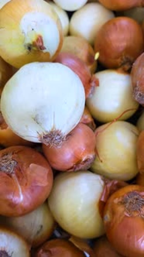 Vibrant Fresh Onions Piled Together in Market Display