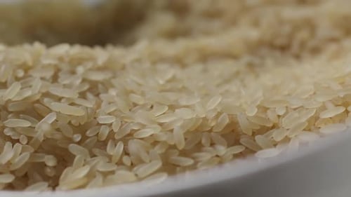 Raw Rice grains 6953 C