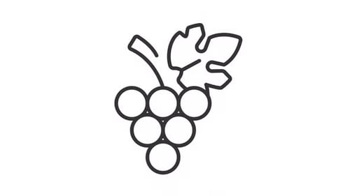Minimalist Line Art Grapes Drawing Animation