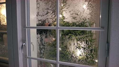 Christmas Tree Seen Through Frosted Window At Night