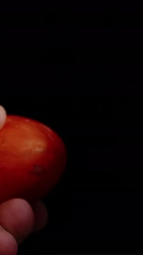 Vertical video. Hands hold two Easter eggs, ready to tap them together in a traditional Easter egg