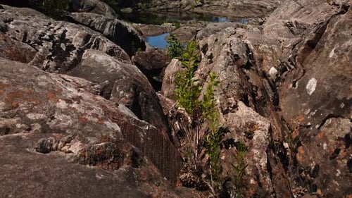 A wide tilt up from crevices and lichen covered rocks on Moon Bay Falls, with river in the distance