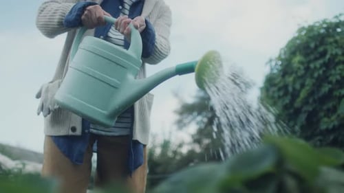 Retired Woman Watering Plants in Vegetable Garden