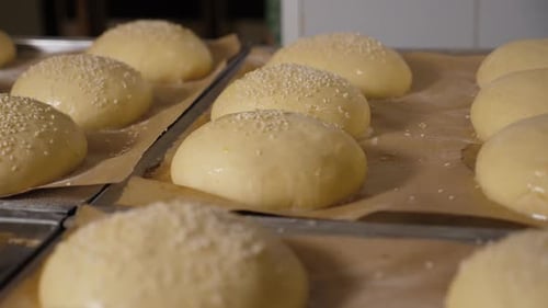 Hamburger Buns Being Prepared with Sesame Seeds