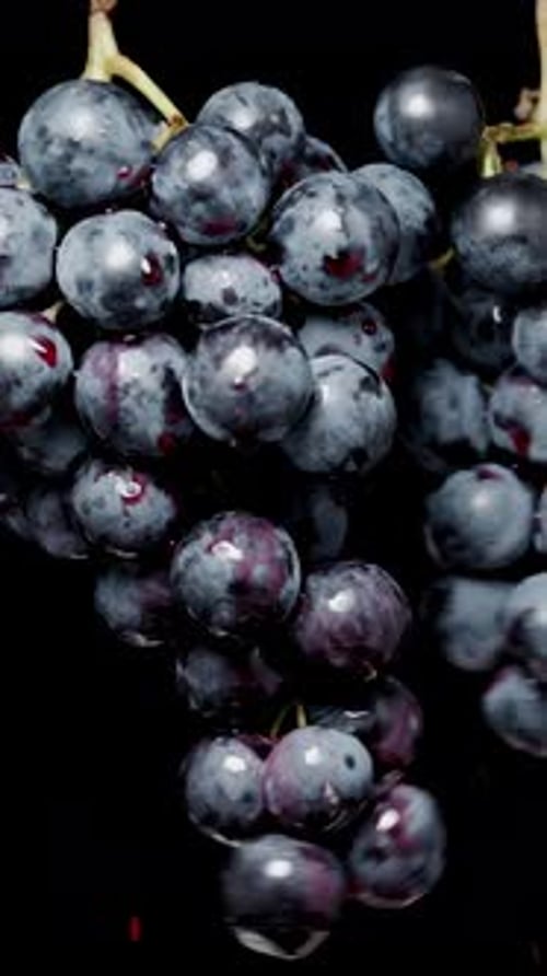 Vertical video. Two clusters of grapes dangle against a black background, colliding with each other