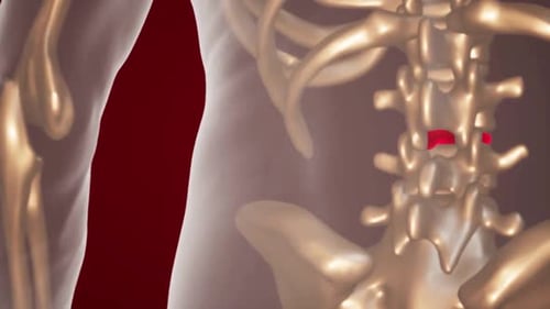 3D Human Skeleton Spine Medical Treatment Animation