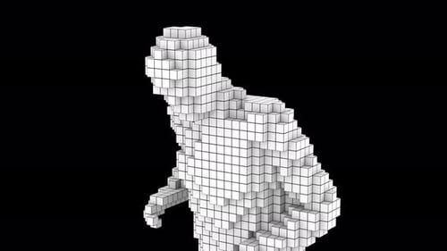 3D Pixelated Human Figure in White Cubes
