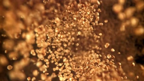 Abstract footage of small brown seeds falling slowly