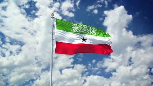 Realistic National Flag Waving in Blue Sky Animation