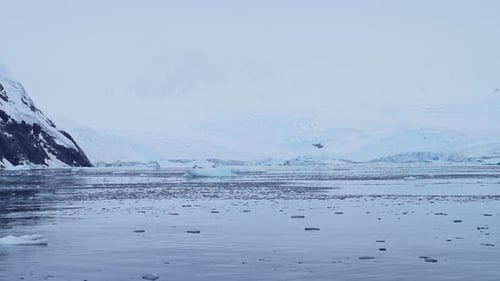 Breathtaking Frozen Antarctic Landscape Featuring Majestic Glaciers and Icy Arctic Waters