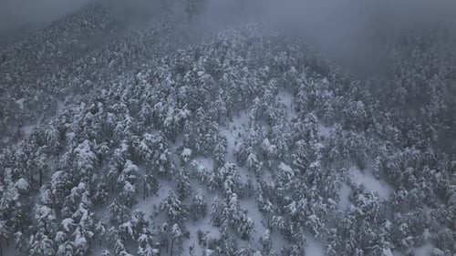 Snowy Mountains and Fog