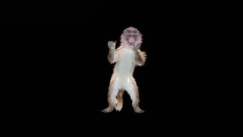 76 Hip Hop Dancing Monkey Dance HD