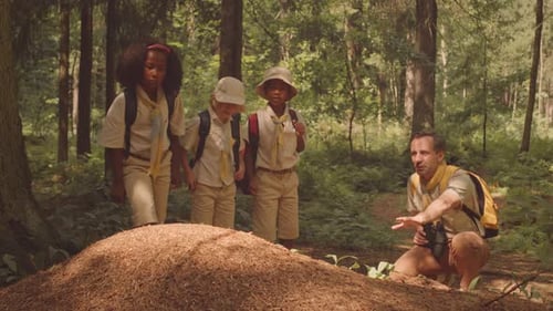 Scouts Exploring Forest Area Together in Summer