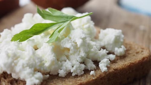Delicious Cottage Cheese on Bread with Herb