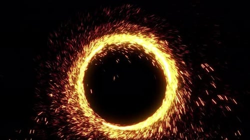 Portal 31