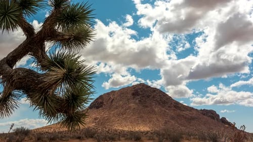 Fluffy clouds above a mountain in the Mojave Desert shade the landscape - panning time lapse with Jo