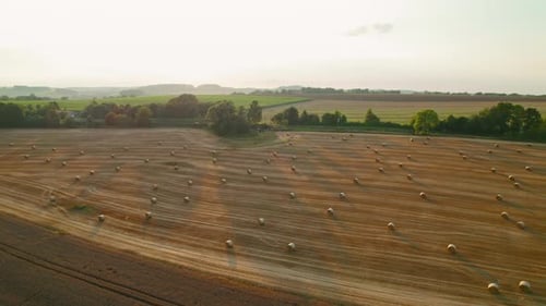 Aerial view of a large field with hay bales scattered across, bordered by green trees and farmlands