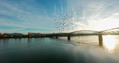 Un essaim d'oiseaux attaque un FPV innocent qui tente de filmer un pont sur le Danube.