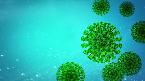 Exploring the Structure of Green Virus Particles in Aquatic Environment