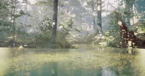 Mysterious Forest Pond Inviting Tranquility and Reflection at Dawn