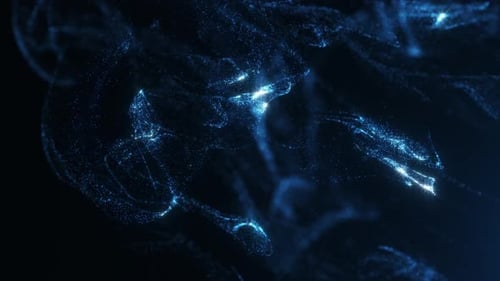 Fluid Particles