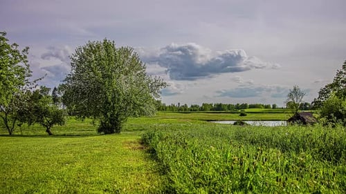 A distant cloudscape time lapse in the grassland countryside in summer