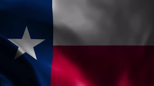 Realistic Waving Texas Flag Background Loop Animation
