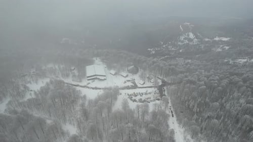 Vacaciones de invierno Imágenes aéreas de un bosque nevado