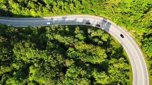 Curved road in lush forest. Vehicles travel along a winding road surrounded