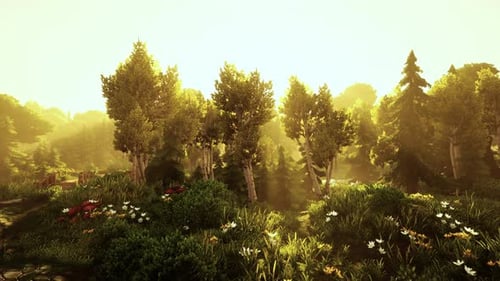 Cartoon Flowering Green Forest on Sunset