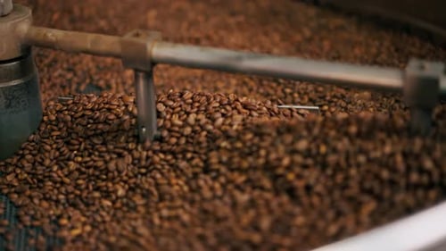 Closeup of a Coffee Roasting Factory Inside Drum Roasting Stirring Coffee