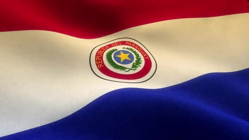 Realistic Waving Flag of Paraguay with National Emblem