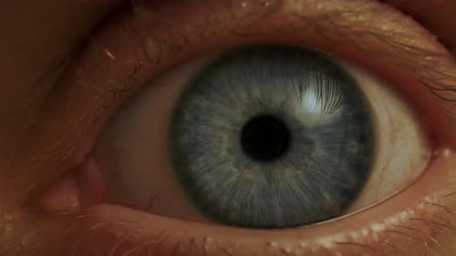 Macro Shot of Human Blue Eye with Visible Iris Texture