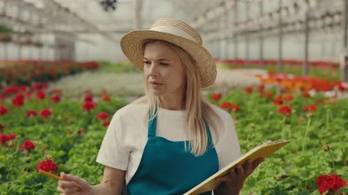 Female Worker is Walking on Row with Red Flowers at Greenhouse During Working Day and Examining with