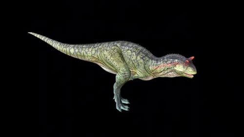 Carnotaurus Dinosaur Bite Idle