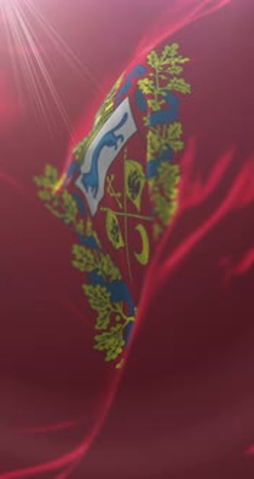 Animated Realistic Waving Flag with Emblem