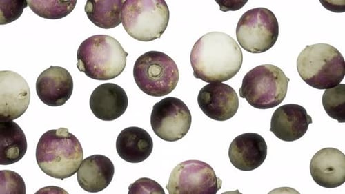 Falling Turnips on White Background Loop Animation