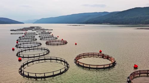Fishing Cages for Breeding Fish in Lake in Mountain Valley of Rhodope Mountains Under Cloudy Sky